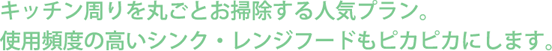 キッチン周りを丸ごとお掃除する人気プラン。