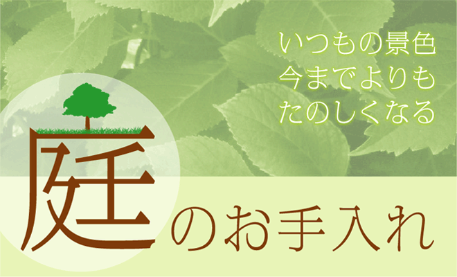 いつもの景色　今までよりも　楽しくなる